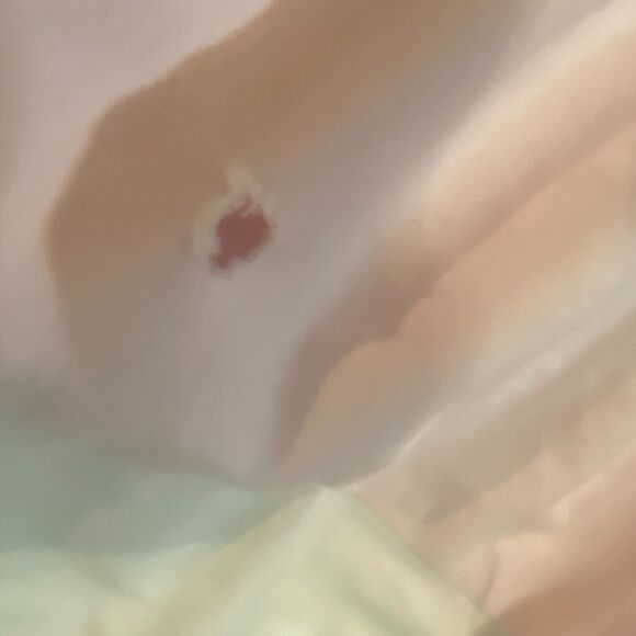 Crib BedSkirt Dust Ruffle Pink Purple Blue Birds Applique Embroidery - Picture 10 of 10